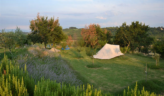 rustic campsite